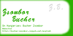 zsombor bucher business card